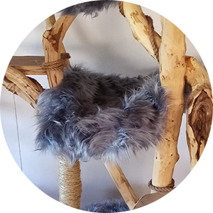 hamac pour chat confortable et ludique pour les chats