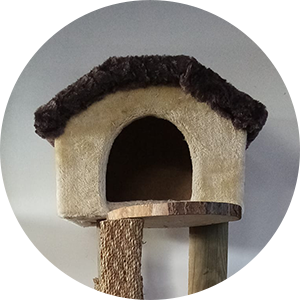 petite cabane où le chat pourra se reposer en toute tranquilité