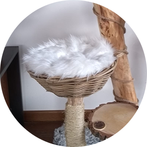 panier pour chat rempli d'un coussin en fourrure blanc doux et confortable