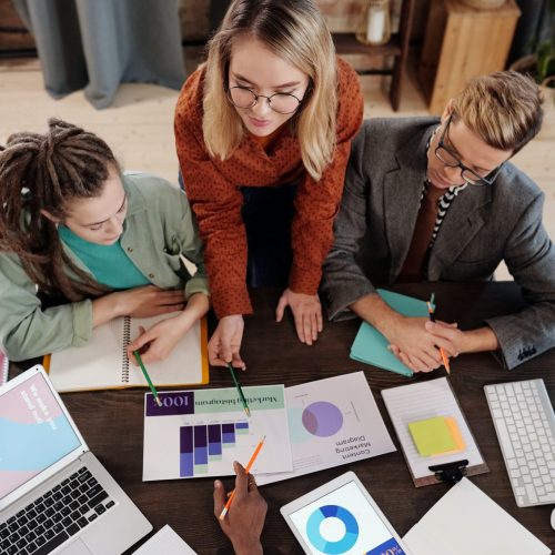 pexels-mikael-blomkvist-6476245